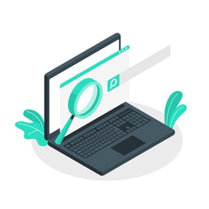 expert review
