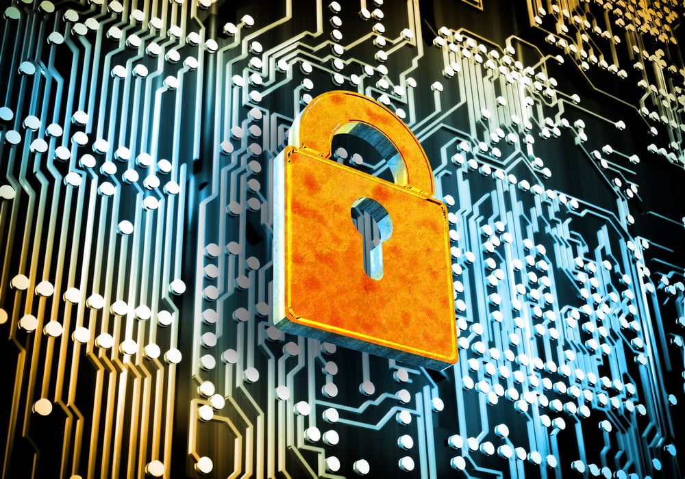 Cyber Vulnerability Check: Insights from 7 Schools