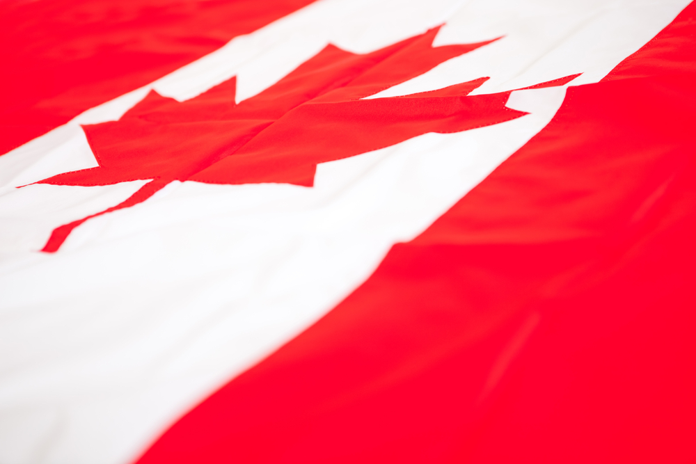 The Death of Bill C-11 and PIPEDA Self Assessments