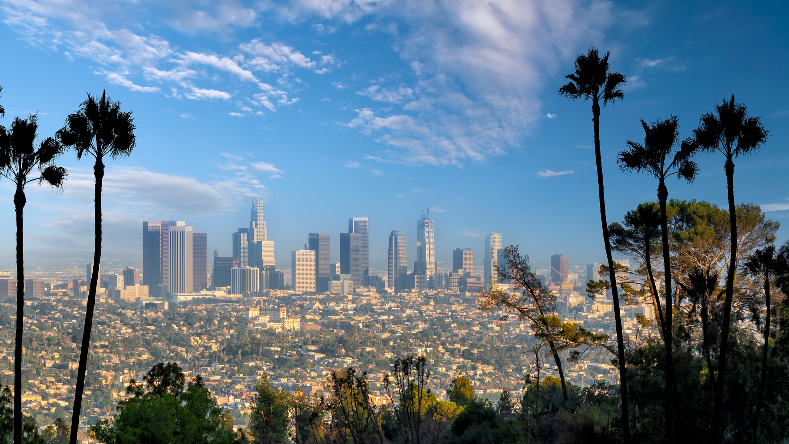 Navigating the AI Frontier: Los Angeles